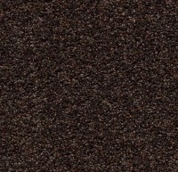 2606 Fine Peat Coral Bright 2.00 br 